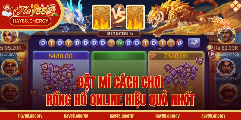 Bật mí cách chơi Rồng Hổ online hiệu quả nhất