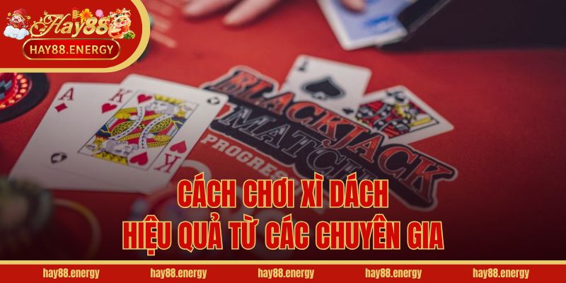 Cách chơi Xì Dách hiệu quả từ các chuyên gia