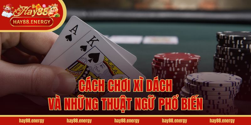 Cách chơi Xì Dách và những thuật ngữ phổ biến
