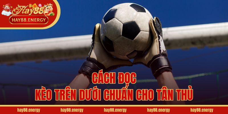 Cách đọc kèo trên dưới chuẩn cho tân thủ