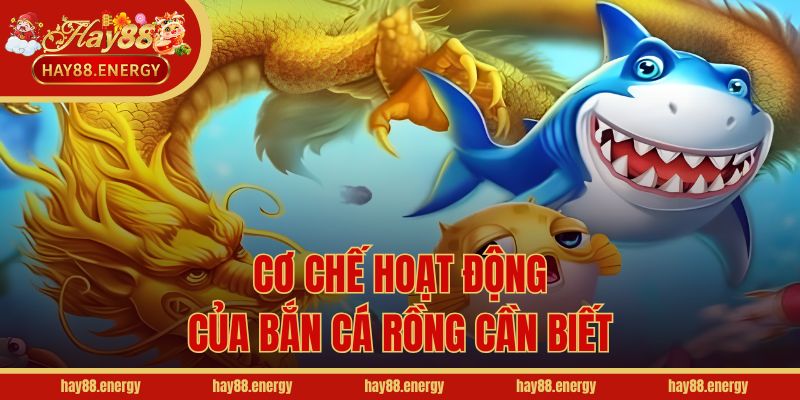 Cơ chế hoạt động của bắn cá Rồng cần biết