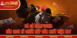 Đá Gà Campuchia - Sân Chơi Kê Chiến Hấp Dẫn Nhất Hiện Nay