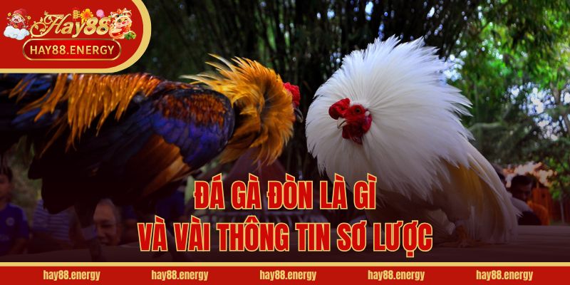 Đá gà đòn là gì và vài thông tin sơ lược