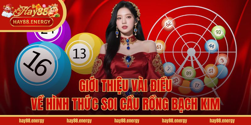 Giới thiệu vài điều về hình thức soi cầu rồng bạch kim