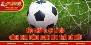 Kèo Chấp 0.25 Là Gì? Cách Chơi Đồng Banh Nửa Trái Dễ Hiểu