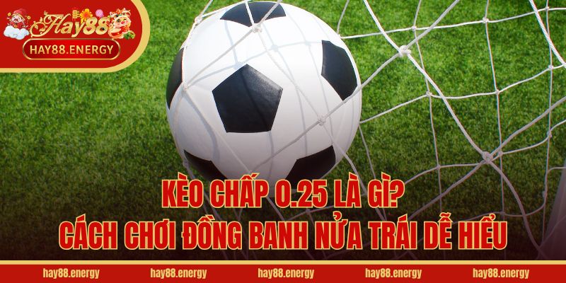 Kèo Chấp 0.25 Là Gì? Cách Chơi Đồng Banh Nửa Trái Dễ Hiểu