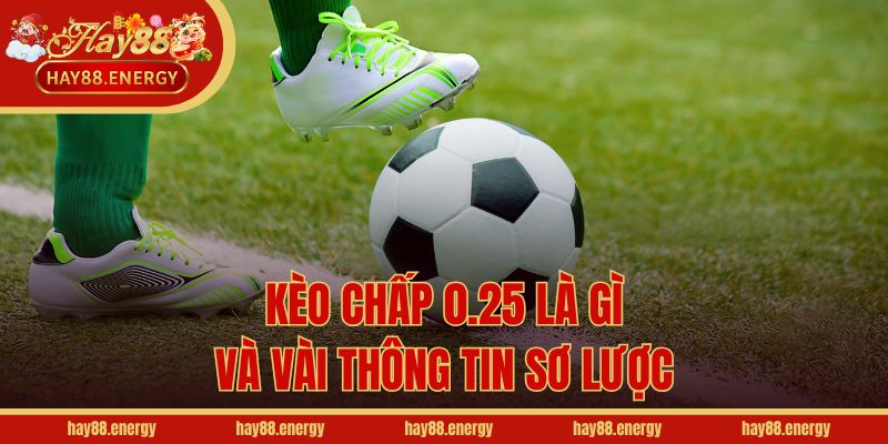 Kèo chấp 0.25 là gì và vài thông tin sơ lược