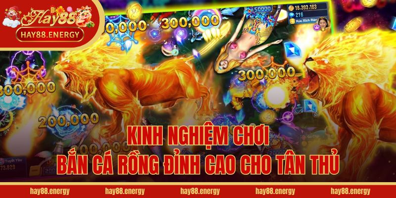 Kinh nghiệm chơi bắn cá Rồng đỉnh cao cho tân thủ
