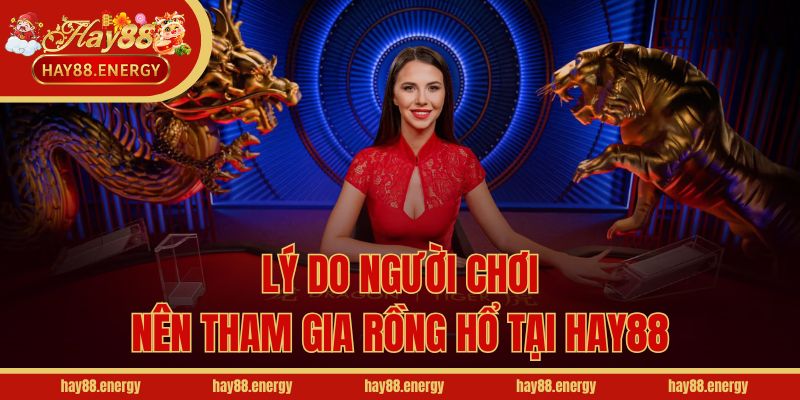 Lý do người chơi nên tham gia Rồng Hổ tại Hay88