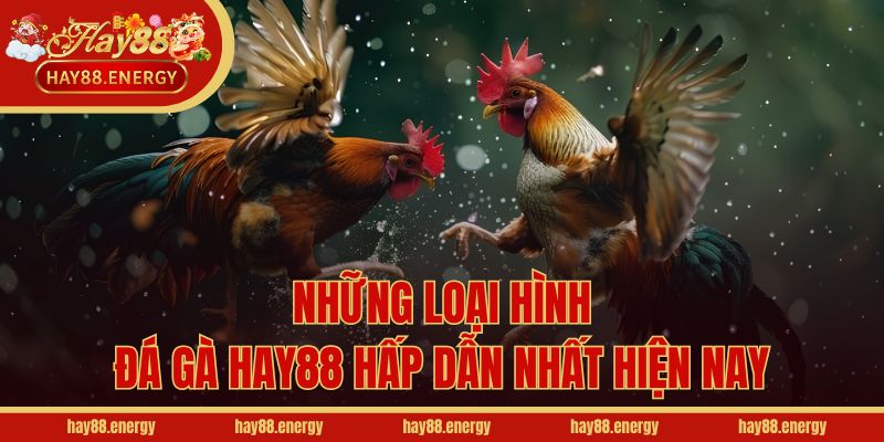 Những loại hình đá gà Hay88 hấp dẫn nhất hiện nay
