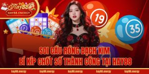Soi Cầu Rồng Bạch Kim - Bí Kíp Chốt Số Thành Công Tại Hay88